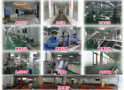 襄陽維美生物科技 專業(yè)計算機(jī)及辦公設(shè)備維修服務(wù)