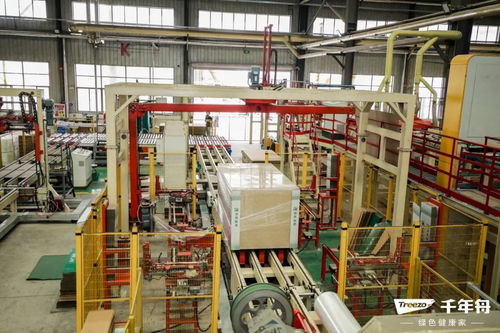 綠色工廠行丨百人考察團走進千年舟日照智能工廠,看 一張好板 引領綠色智造