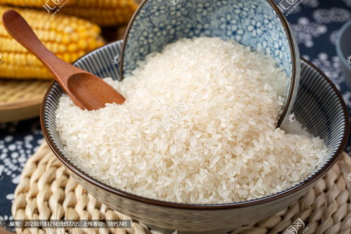 有機(jī)大米圖片素材下載 食品餐飲素材下的五谷雜糧圖片素材